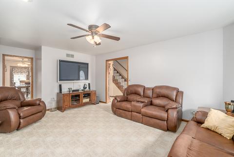 16311 S Peerless Ct, Plainfield, IL 60586 photo 16