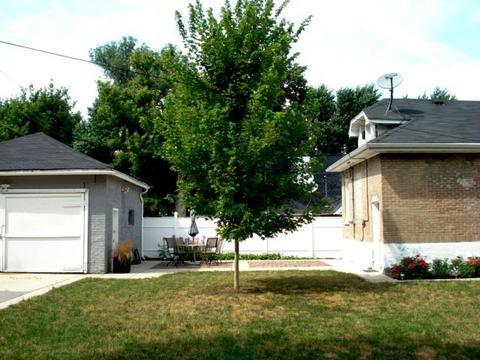 4200 Maple Ave, Lyons, IL 60534 photo 4