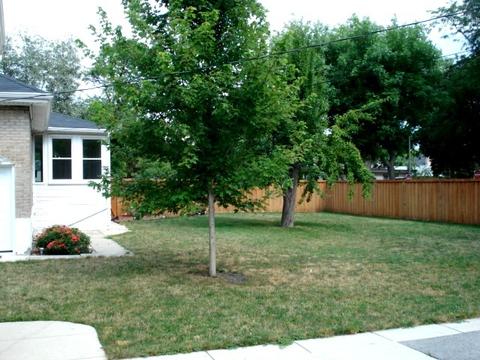 4200 Maple Ave, Lyons, IL 60534 photo 5