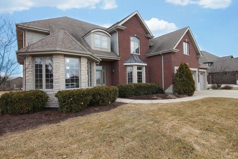 7933 Pineview Ln, Frankfort, IL 60423 photo 1