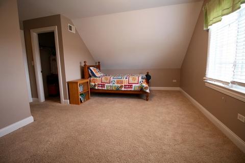 7933 Pineview Ln, Frankfort, IL 60423 photo 24
