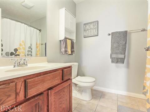 1164 Heron Dr, Normal, IL 61761 photo 21