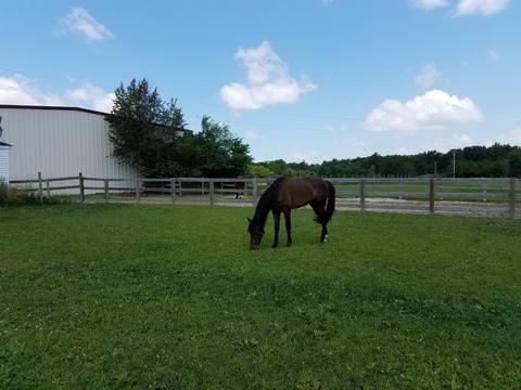 9500 E 2600 North Rd, Potomac, IL 61865 photo 62
