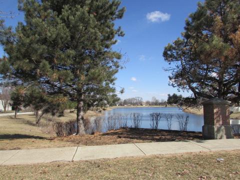 5302 Brindlewood Dr, Plainfield, IL 60586 photo 18
