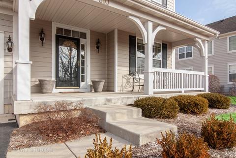 310 Monument Rd, Elgin, IL 60124 photo 33