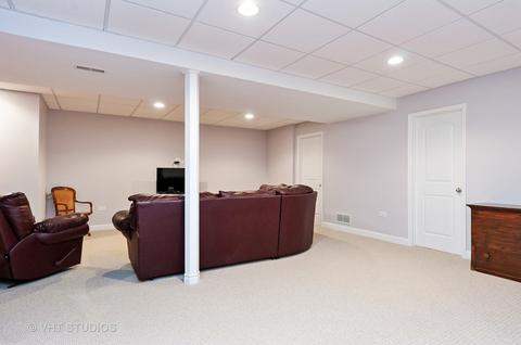 12734 Skyline Dr, Plainfield, IL 60585 photo 22