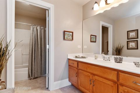 12734 Skyline Dr, Plainfield, IL 60585 photo 20