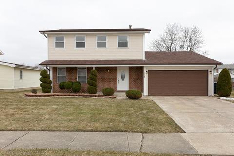 233 Willow Rd, Matteson, IL 60443 photo 1