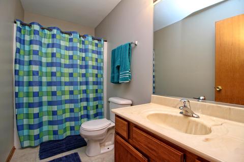 629 Maplewood Dr, Minooka, IL 60447 photo 14