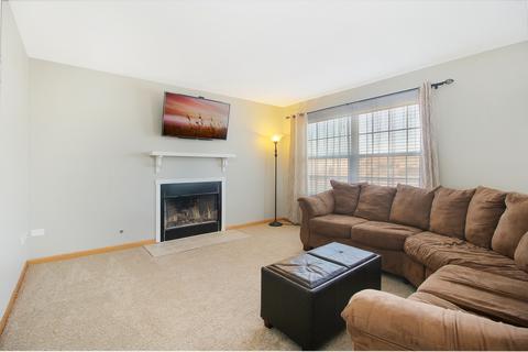 629 Maplewood Dr, Minooka, IL 60447 photo 8