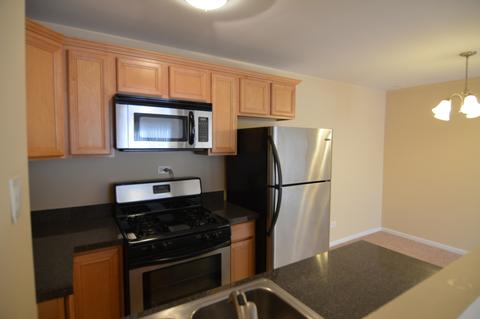 159 E Mill St #9, Wauconda, IL 60084 photo 3