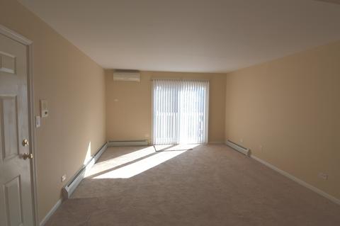 159 E Mill St #9, Wauconda, IL 60084 photo 5
