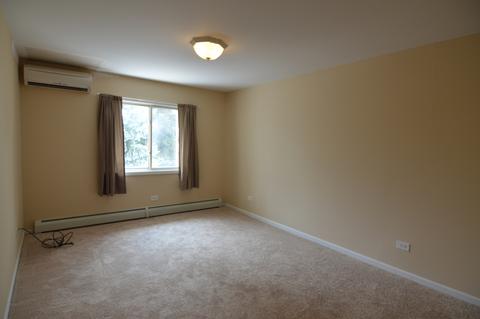 159 E Mill St #9, Wauconda, IL 60084 photo 7