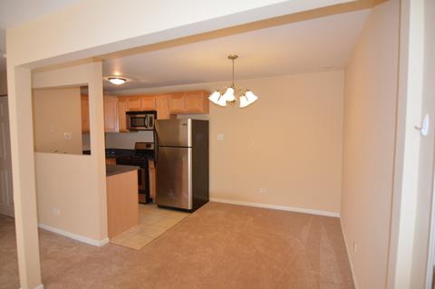 159 E Mill St #9, Wauconda, IL 60084 photo 4