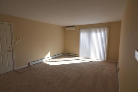 159 E Mill St #9, Wauconda, IL 60084 photo 6