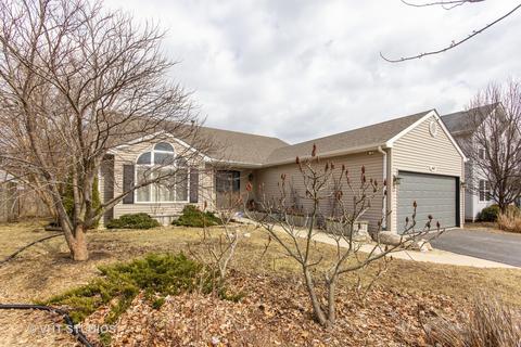 2110 Alpine Way, Plainfield, IL 60586 photo 1