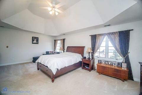 21009 Tail Feathers Dr, Mokena, IL 60448 photo 22