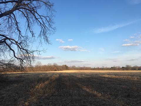 2440 County Road 550 E, Dewey, IL 61840 photo 14