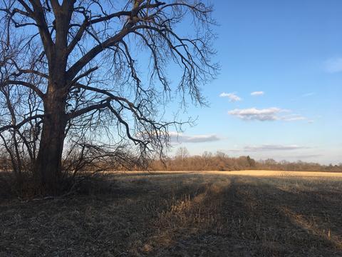 2440 County Road 550 E, Dewey, IL 61840 photo 1