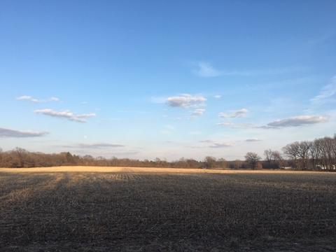 2440 County Road 550 E, Dewey, IL 61840 photo 5