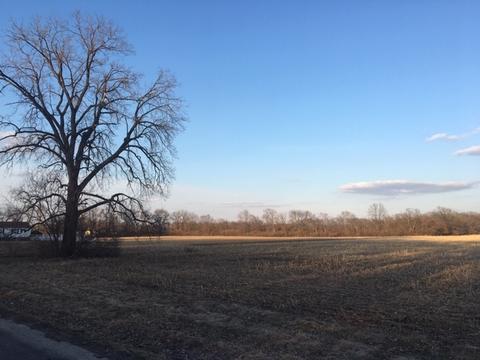 2440 County Road 550 E, Dewey, IL 61840 photo 4