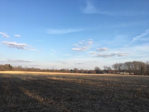 2440 County Road 550 E, Dewey, IL 61840 photo 10