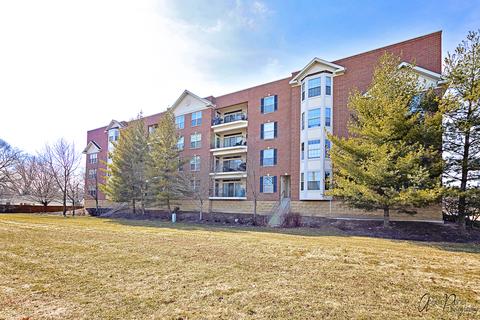 3115 Town Square Dr #208, Rolling Meadows, IL 60008 photo 26