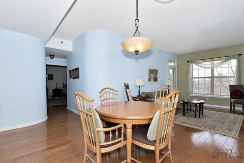 3115 Town Square Dr #208, Rolling Meadows, IL 60008 photo 12