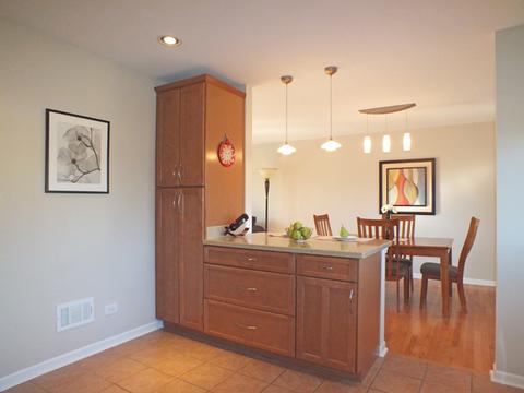 731 Manor Ct, Des Plaines, IL 60016 photo 9