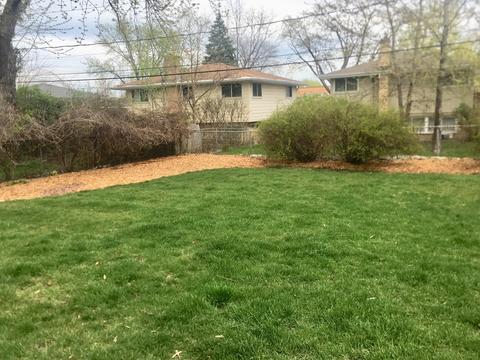 731 Manor Ct, Des Plaines, IL 60016 photo 37
