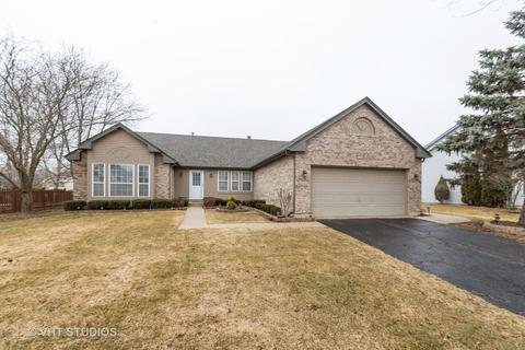 256 Brittany Trl, Elgin, IL 60120 photo 1