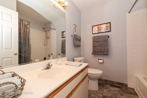 256 Brittany Trl, Elgin, IL 60120 photo 14