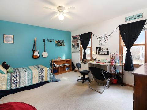 6603 Benich Ln, Plainfield, IL 60586 photo 19