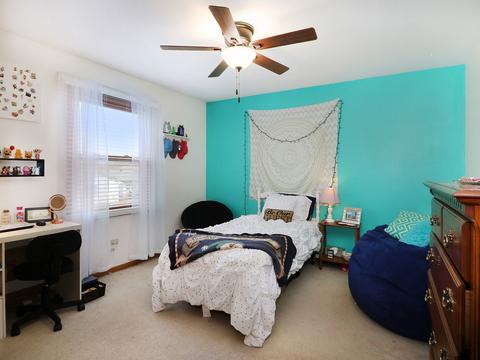 6603 Benich Ln, Plainfield, IL 60586 photo 17