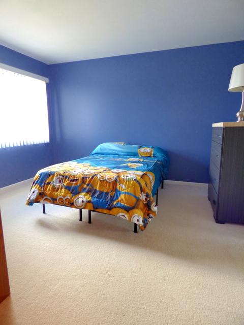 1214 Dunamon Dr, Bartlett, IL 60103 photo 12