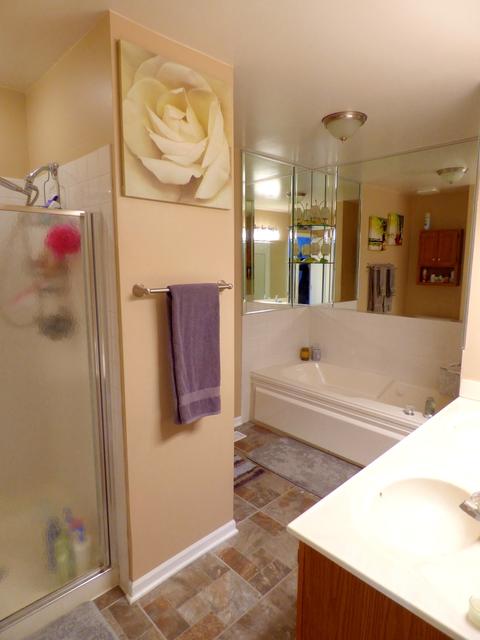 1214 Dunamon Dr, Bartlett, IL 60103 photo 11