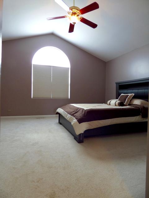 1214 Dunamon Dr, Bartlett, IL 60103 photo 10