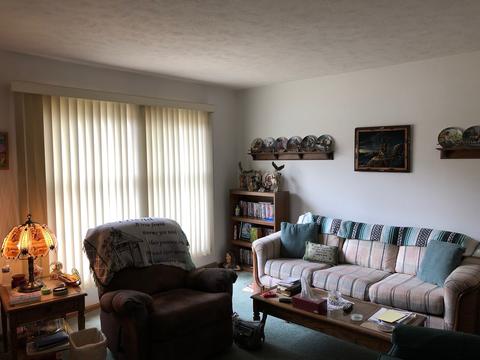 118 E Cleveland St, Cullom, IL 60929 photo 10