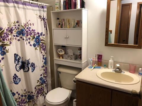 118 E Cleveland St, Cullom, IL 60929 photo 11