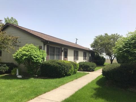 118 E Cleveland St, Cullom, IL 60929 photo 2