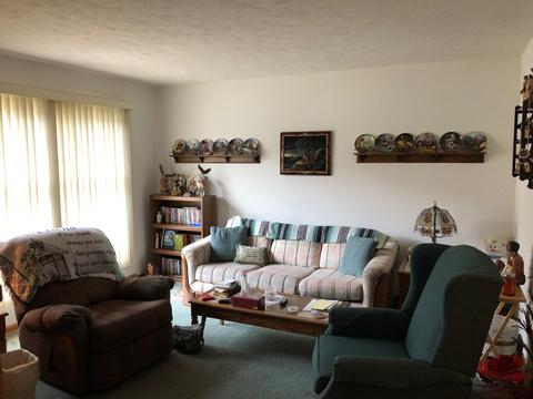 118 E Cleveland St, Cullom, IL 60929 photo 8