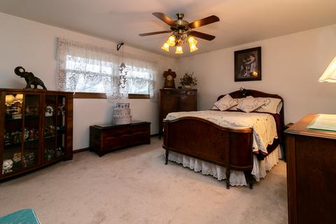 413 Maxwell St, Beecher, IL 60401 photo 22