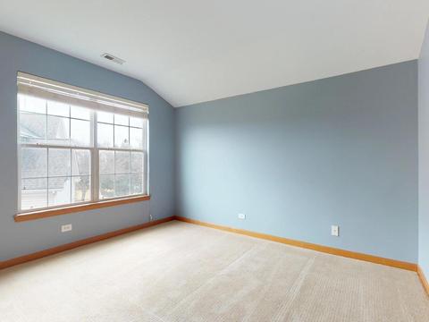 1411 Spring Leaf, West Dundee, IL 60118 photo 11