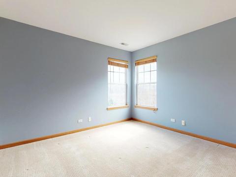 1411 Spring Leaf, West Dundee, IL 60118 photo 16