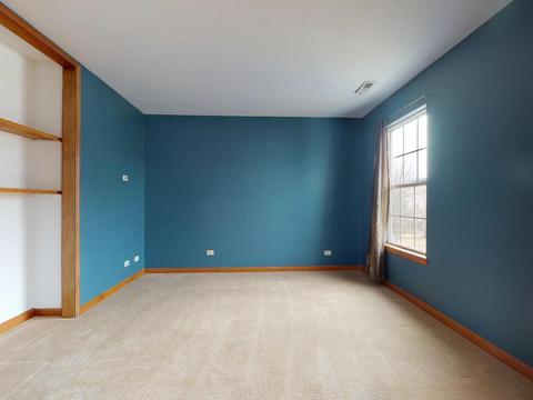 1411 Spring Leaf, West Dundee, IL 60118 photo 21