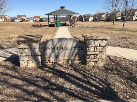 2950 Shamrock Cir, Elgin, IL 60124 photo 77