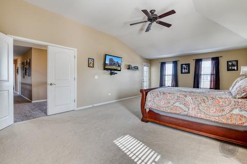 2950 Shamrock Cir, Elgin, IL 60124 photo 45