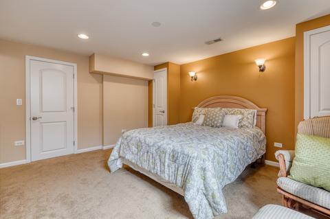 2950 Shamrock Cir, Elgin, IL 60124 photo 54
