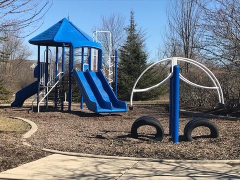 2950 Shamrock Cir, Elgin, IL 60124 photo 75