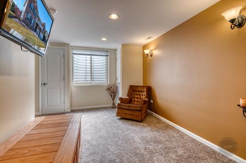 2950 Shamrock Cir, Elgin, IL 60124 photo 51